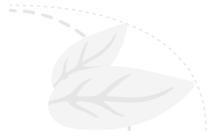 dubbel-blaike-met-dubbele-lijn